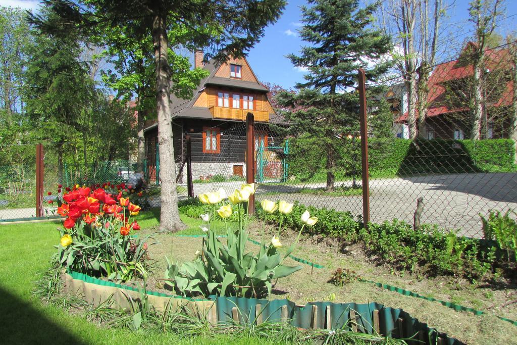 Willa Dewajtis Bed & Breakfast Zakopane Exterior photo